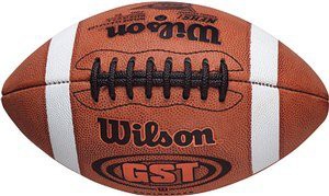 Wilson GST Leather Ball